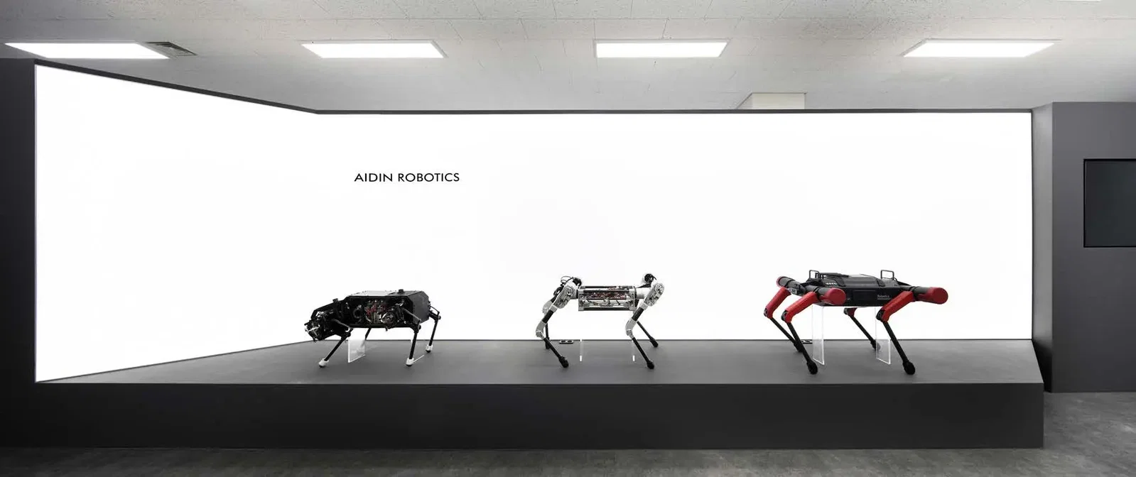 Robot display